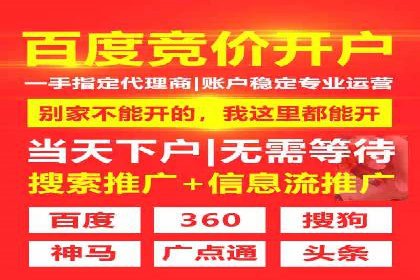 成功SEM推广竞价案例分享
